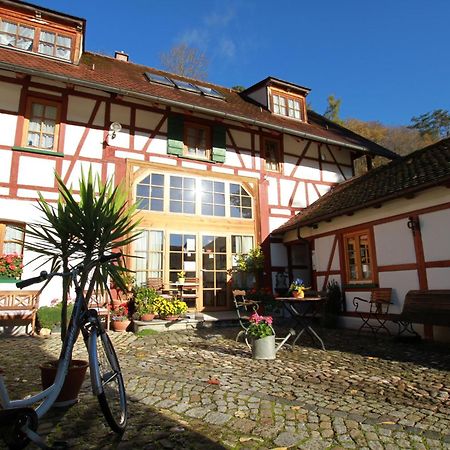 Gaestehaus Pfefferle Hotel Garni Und Ferienwohnungen Sigmaringen Extérieur photo