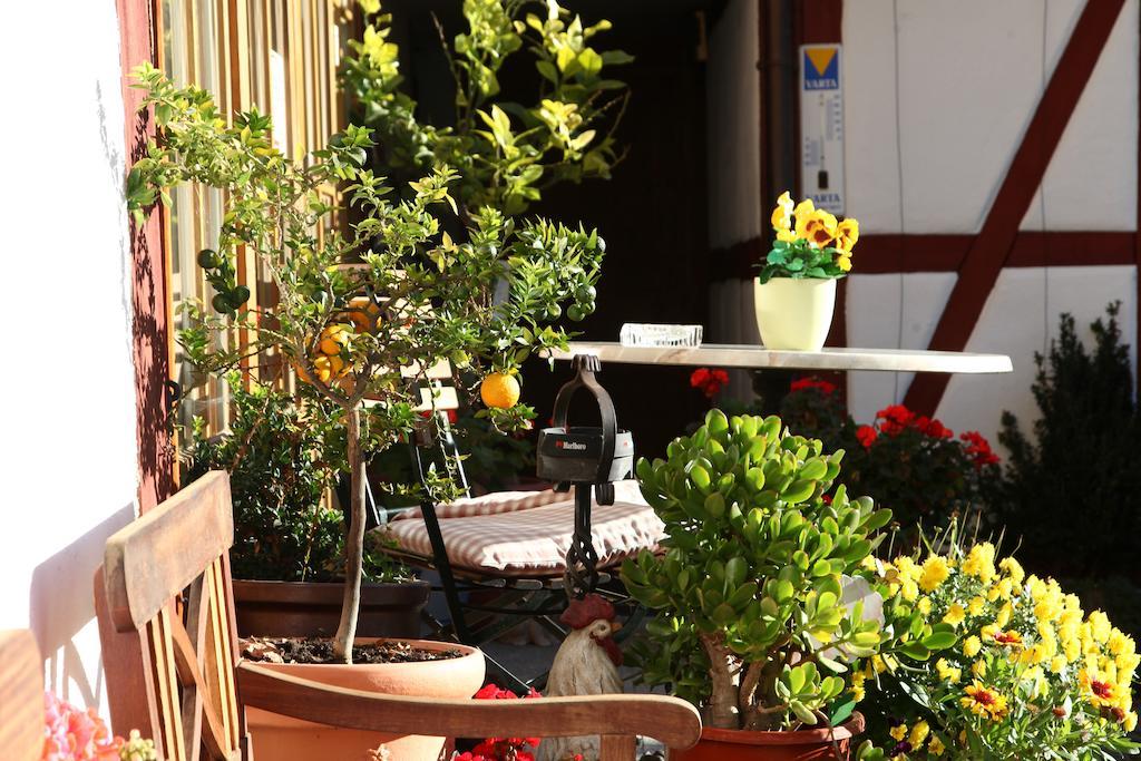 Gaestehaus Pfefferle Hotel Garni Und Ferienwohnungen Sigmaringen Extérieur photo